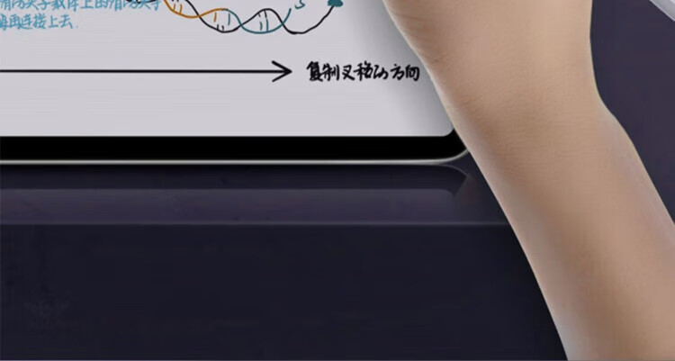 f60f4a407ab95be7.jpg