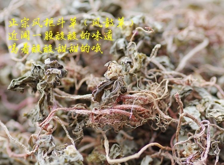 幹品楮風穀風鼓草 風骨草 風方古草 方鼓草 500克【圖片 價格 品牌