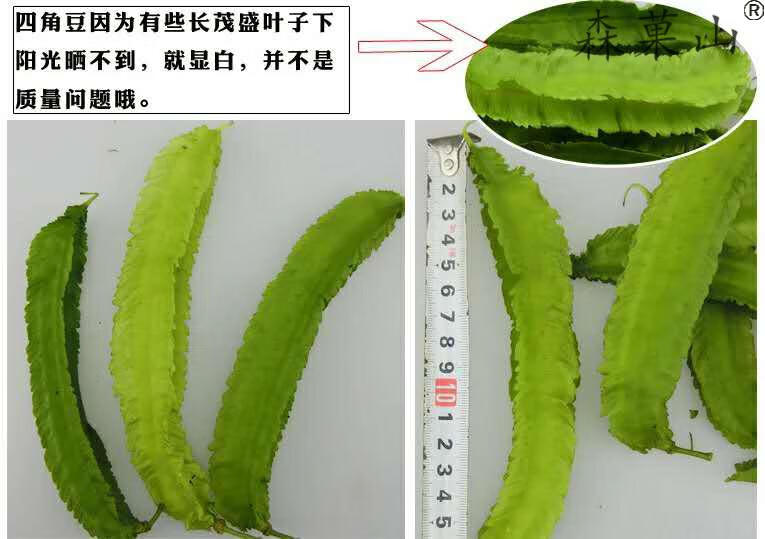 空運海南四角豆三亞特產四角豆新鮮現摘四稜豆楊桃龍豆蔬菜2斤