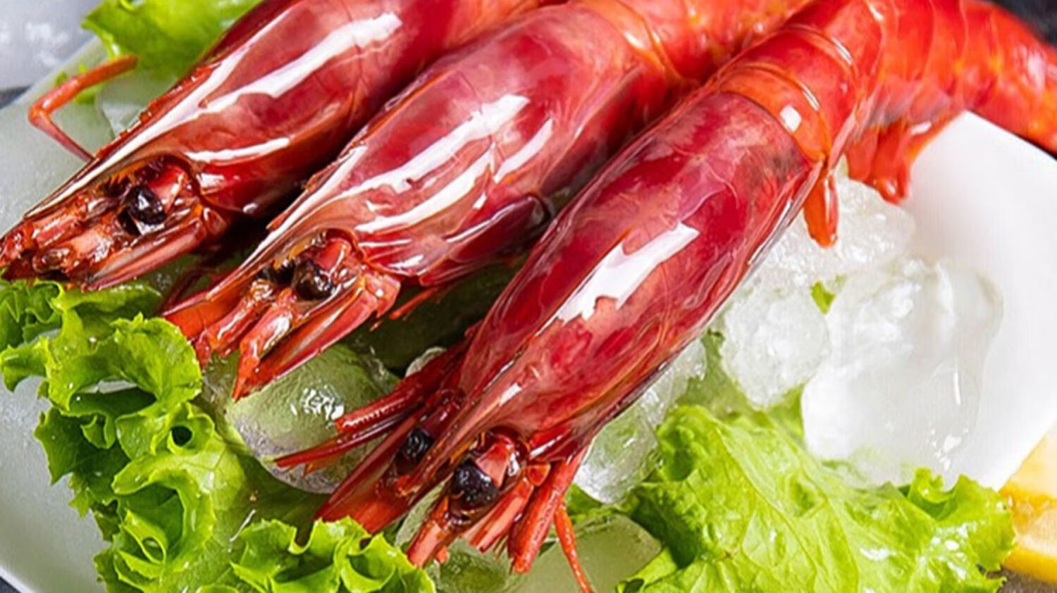 网红同款深海红魔虾(大号) 特大鲜活冰鲜刺身级低温甜虾莫桑比克甜虾