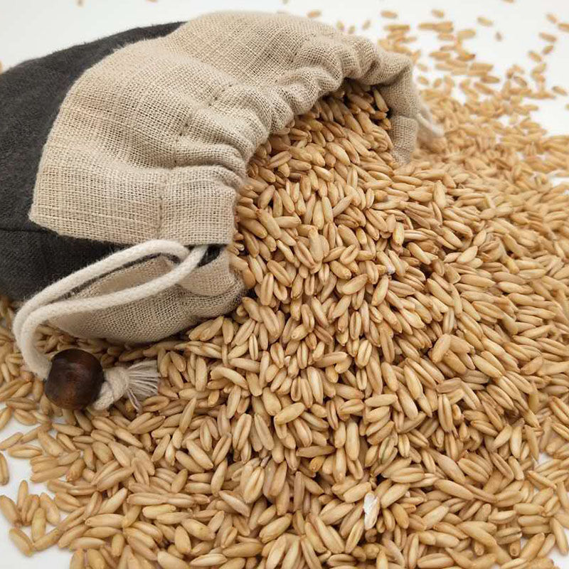 东北五谷杂粮新鲜燕麦米燕麦仁胚芽米燕麦粒八宝粥原材料5斤5斤