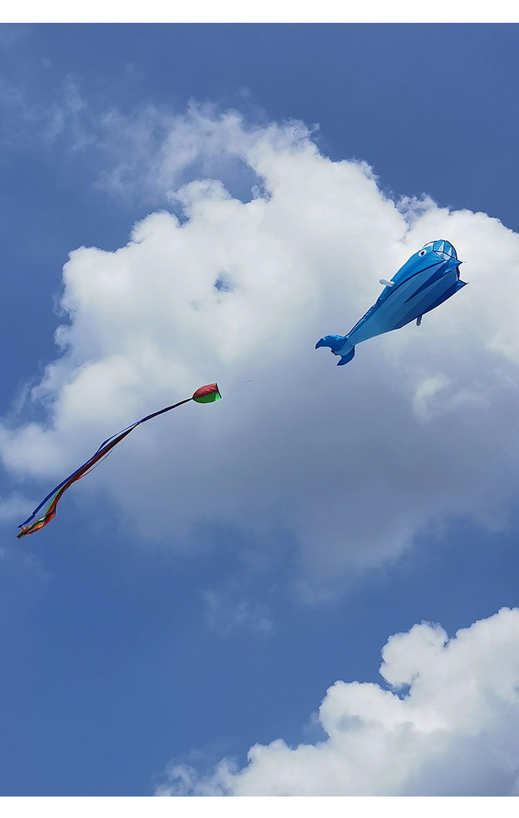 3d立体软体风筝气球无骨抗大风大型超大鲸鱼特大巨型大人专用软体蓝色