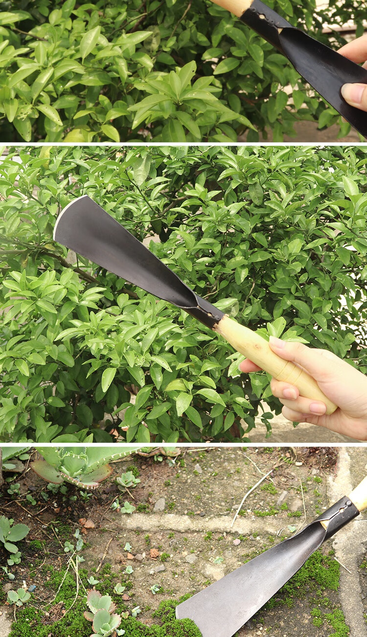 挖野菜铲园林挖土小铲子家用种花养花工具小铁锹户外农用种菜工具木柄