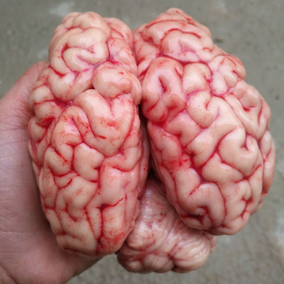 牛脑花新鲜现宰牛脑子真空包装冷冻发货牛脑涮火锅火锅店食材丽鲜玫牛