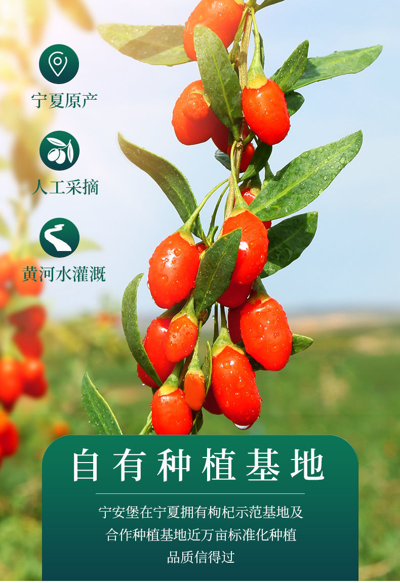 枸杞子小袋装250g2袋共500g宁夏枸杞新日期苟杞