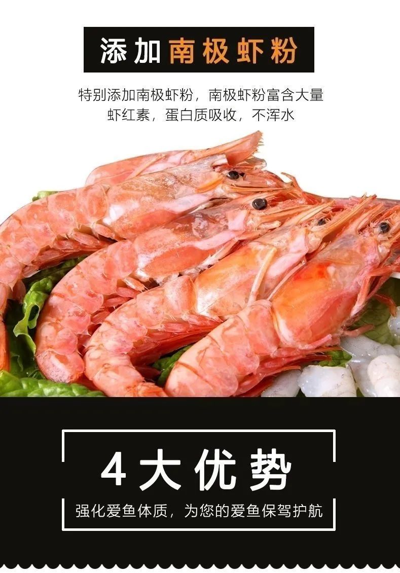 荣郁 蝴蝶鲤贵妃短身球体活体长尾淡水观赏鱼渔场专用鱼饲料袋装 大