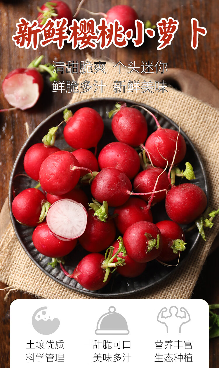 新鲜樱桃小萝卜生吃水果萝卜蔬菜即食沙拉小圆红萝卜5斤 5斤