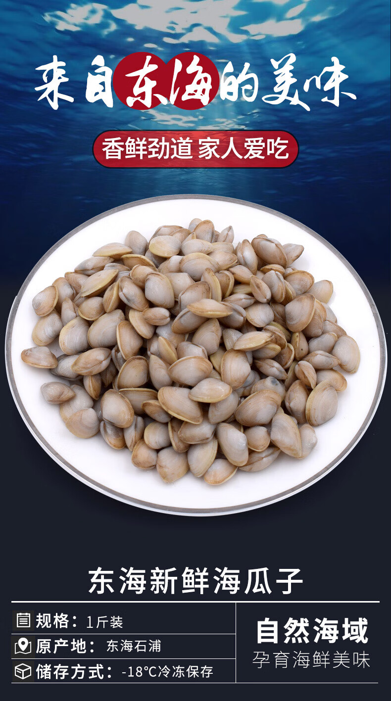 静境舟山鲜活白瓜子1斤无沙小蛤蜊海瓜子