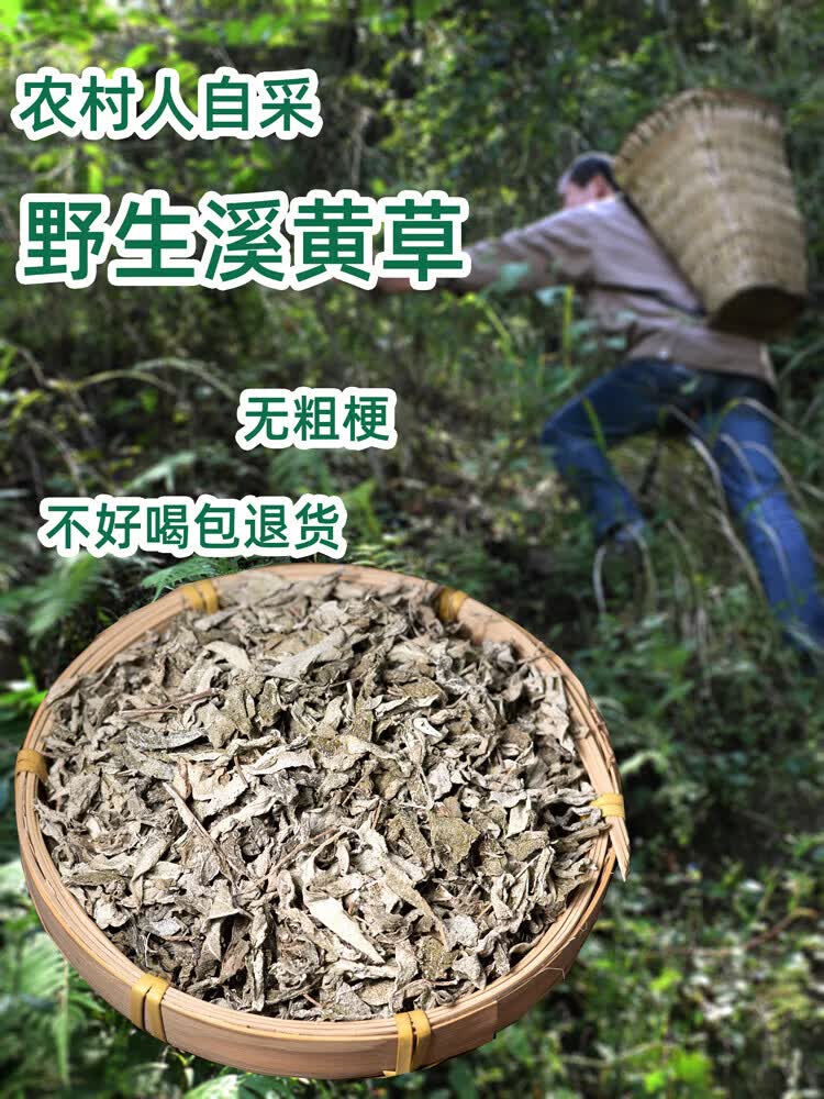 溪黄草养生茶藤茶藤婆茶莓茶农家自采广西原产地发货500g 一斤(2袋)含