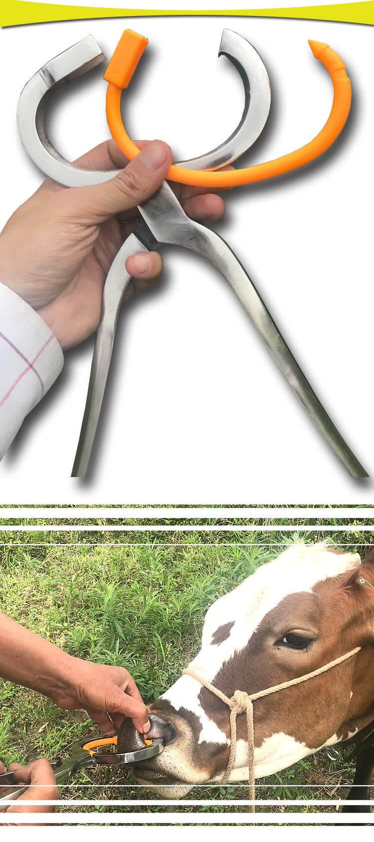 加厚夹器畜牧用品鼻孔器牵牛鼻子牛鼻环拴不锈钢转器械孔扎扣环大号转