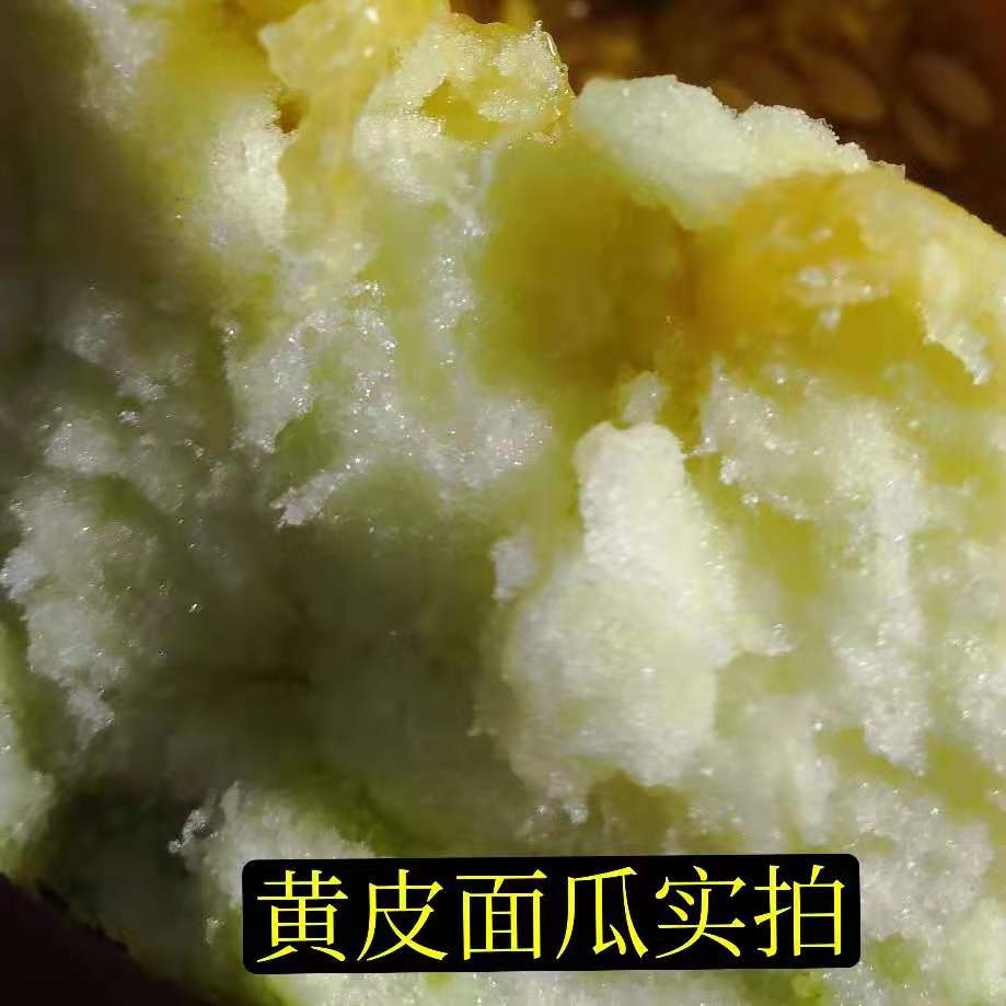 顺丰直达山东老面瓜黄皮面瓜黑皮面瓜香瓜老年人瓜果低糖瓜成熟采摘三