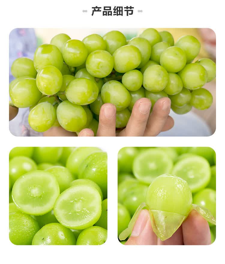 云南阳光玫瑰葡萄香印青提子无籽水果当季整箱 5a果【6-8g/颗】 3斤装