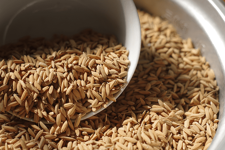 农家鸡鸭食稻谷喂鸡谷子带壳水稻鸟食鸽饲料鸡稻子粮食仓鼠粮大粒谷3