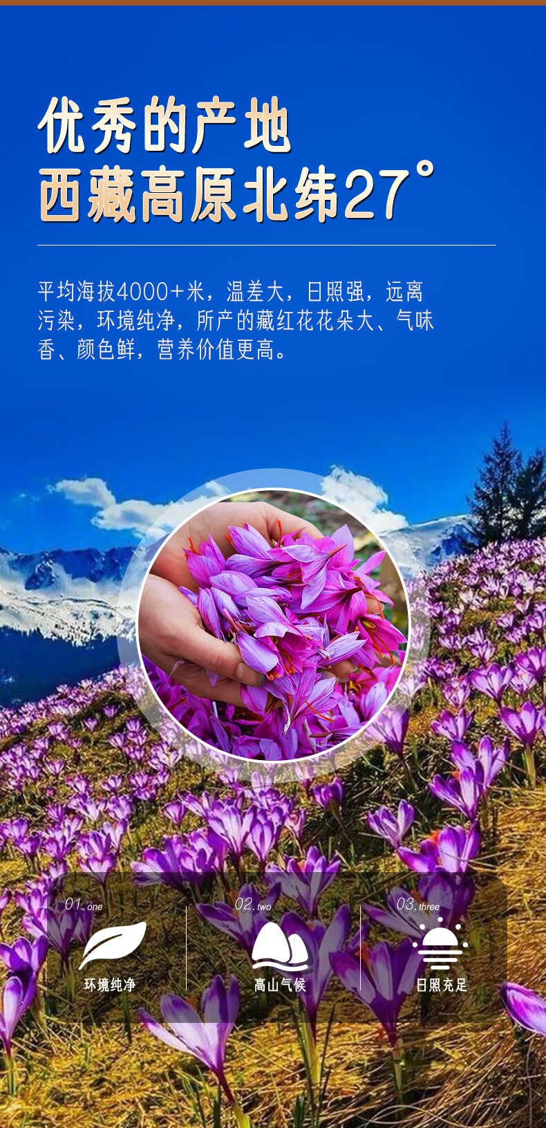 dd565093ee00384e.jpg