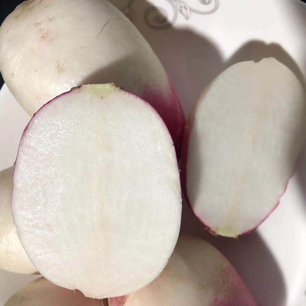 新鲜蔬菜农家自种小萝卜腌制土萝卜应季蔬菜新鲜红皮青皮萝卜红头土