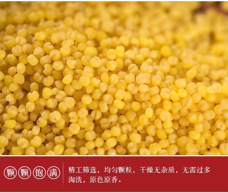 农家黄小米新米小米粥小黄米米脂食用养胃五谷杂粮月子米宝宝米黄小米