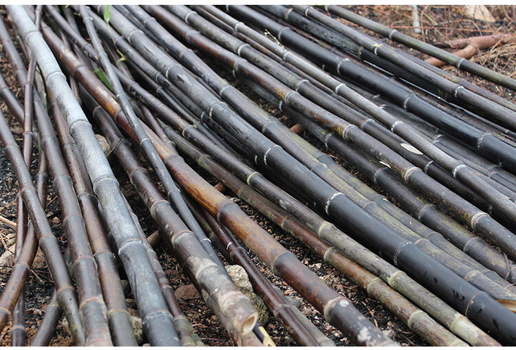 紫竹杆紫竹竿装饰菜园搭架装潢装修黑竹子篱笆跳舞防腐隔断屏风紫竹杆