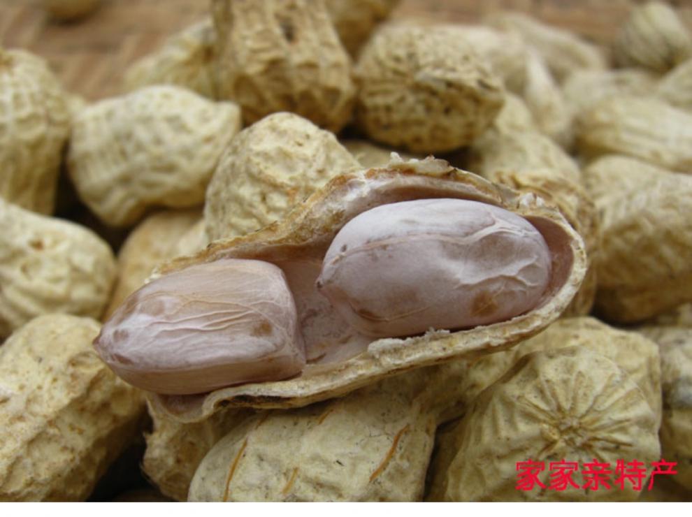 fghgf 花生皇 白肉咸干花生2斤水煮日晒干广东咸脆蒜香花生 咸脆花生