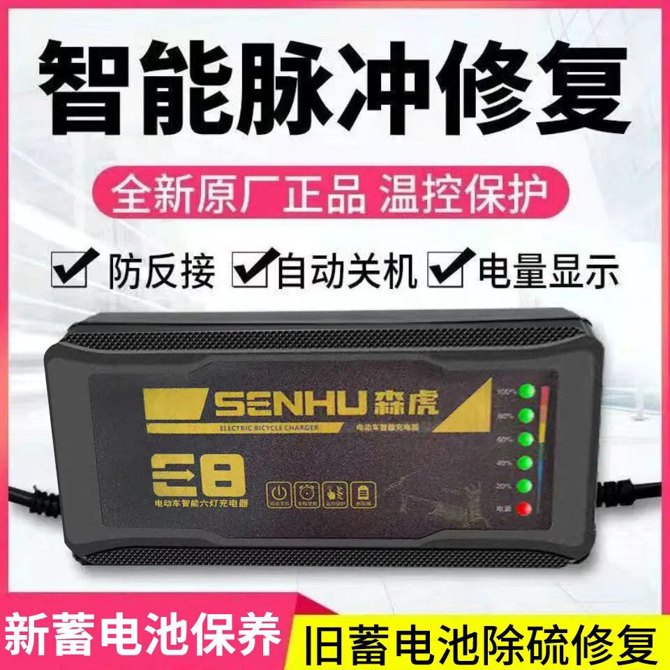 電動車電瓶修復器電池激活器48v60v72v翻新電瓶復活脈衝充電器5燈修復