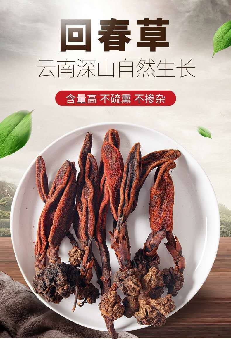 有仁堂云南回春草不老草顶天柱金锁阳泡茶泡酒料年货回春草100克