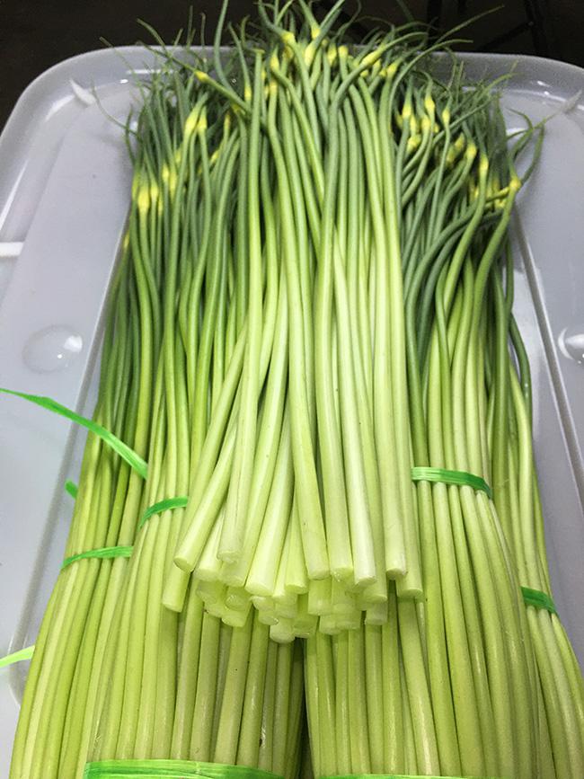 新鲜紫皮大蒜大蒜头腊八蒜糖醋云南蔬菜新湿蒜食用蒜苔蒜薹毫蒜苗8斤