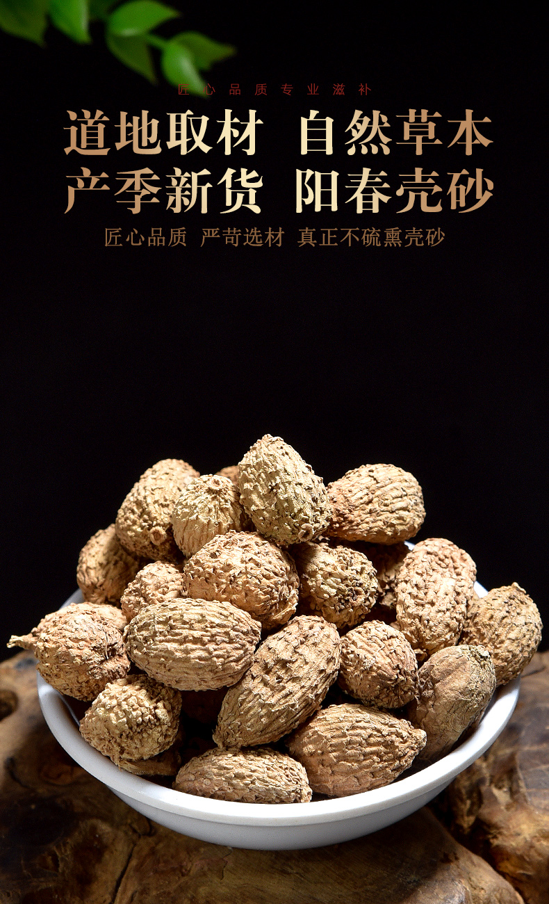 同仁堂沙仁香料500g砂仁中药毛砂仁西砂仁非野生春砂仁阳春特产调料