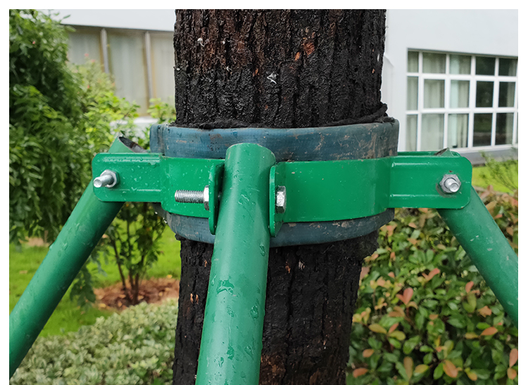 绿色镀锌钢管绿化固定器大树树撑支撑架树木支撑杆支树架铁抱箍 适用