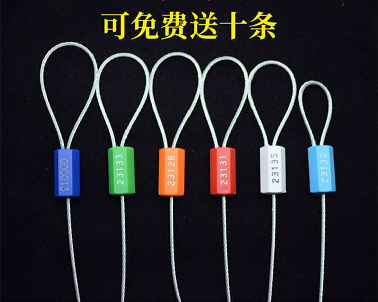 铅封钢丝100条一次性防伪扣定制封条标签扎带带记号牌塑料束缚带锁扣s