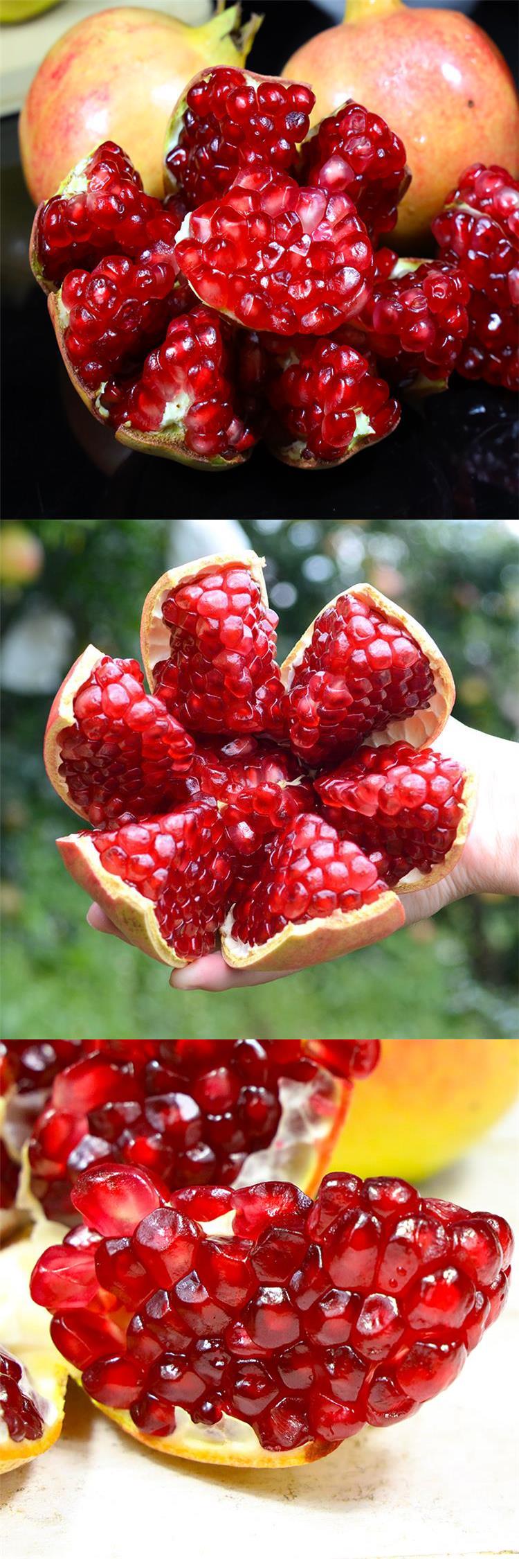 四川会理甜石榴 突尼斯软籽石榴新鲜当季水果薄皮红石榴 甜石榴(大果)