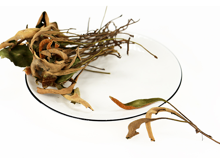 石韦草 中药材500g克 石苇小叶 石伟 石韦草药【图片 价格 品牌 报价