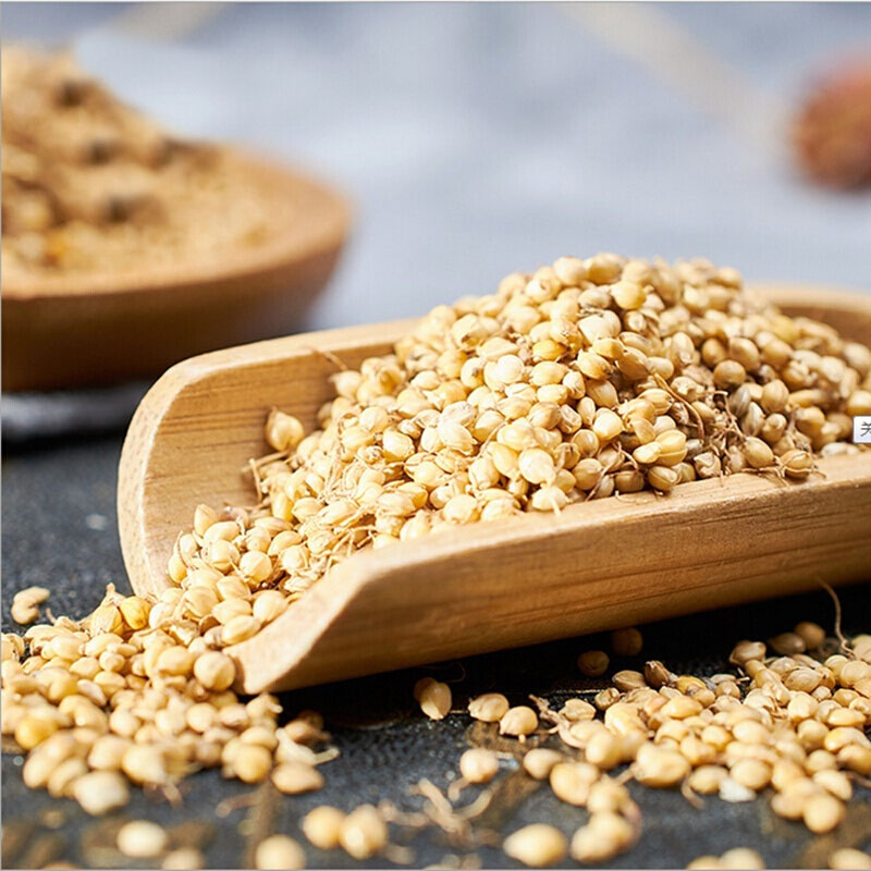 中药材炒谷芽生谷芽需生谷芽请备注另有炒麦芽新货500g克