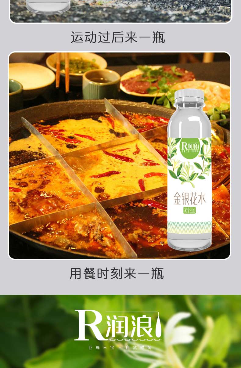 润浪金银花水 瓶装金银花露凉茶饮料 350ml*6瓶【图片 价格 品牌 报价