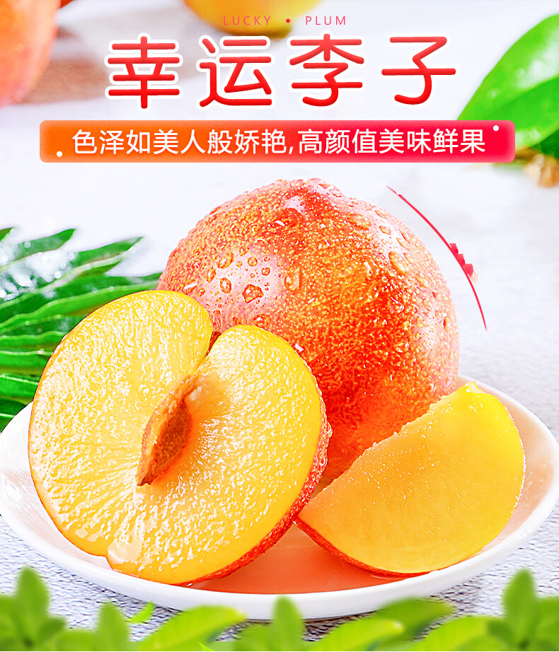 红布林新鲜幸运李子大果黑脆李金刚恐龙蛋应当季整箱水果 5斤【图片