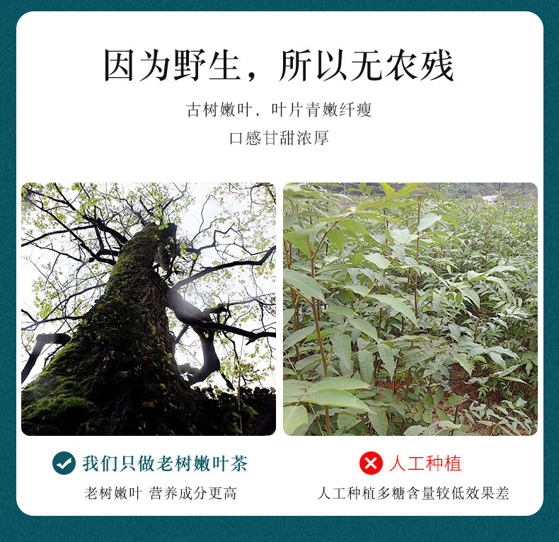 a7ecd7a62227589c.jpg