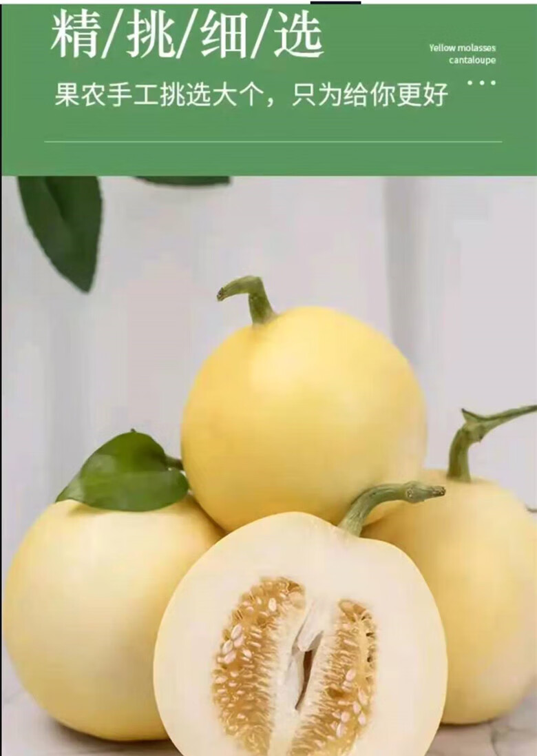 素界现摘新鲜星甜20甜瓜小蜜蜂蜜罐甜瓜脆甜香瓜应季山东5斤精选大果