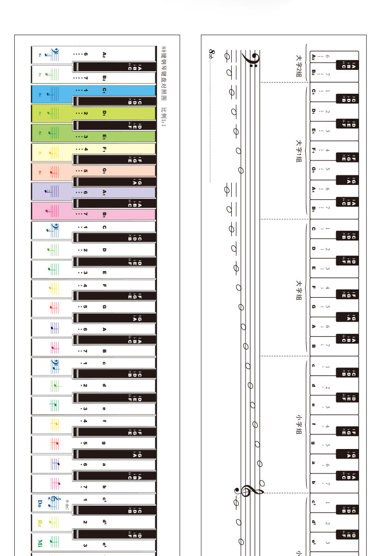 杉貝shanbei88鍵鋼琴鍵盤指法練習紙琴鍵對照表彩色鋼琴鍵盤紙五線譜