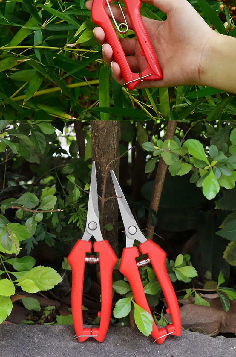 修枝剪刀园艺工具摘果树剪刀修剪树枝剪刀粗枝剪子修花卉园林剪刀大