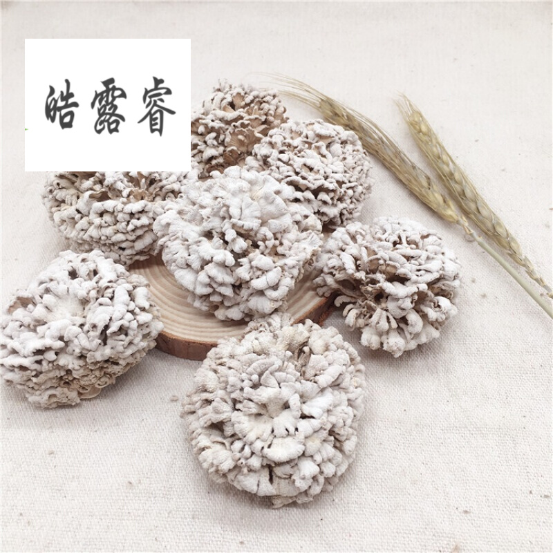 食用菌白參菌天山雪蓮菌菇白蓮菇雪蓮菇乾貨100g