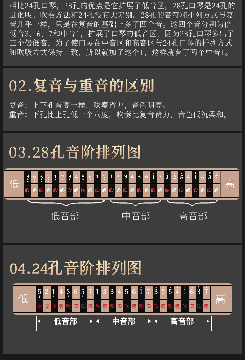 国光28孔口琴音阶图图片