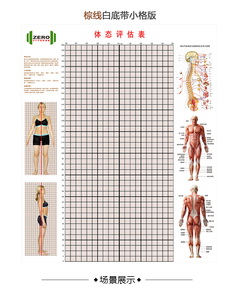2022新款体态评估网格图体态评估表墙贴健身房体测网格纸瑜伽馆私教