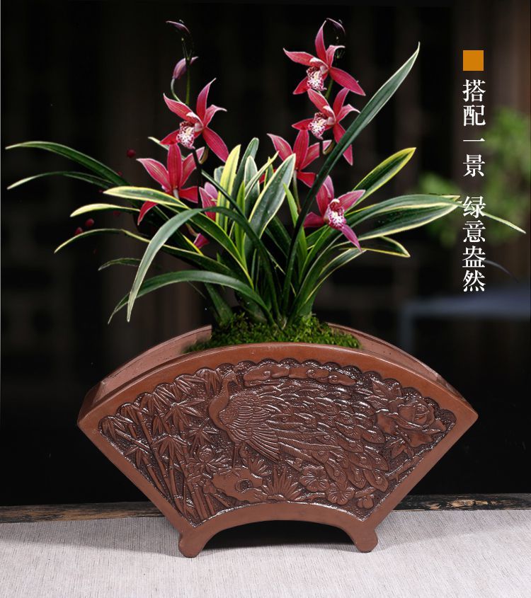 君子兰花盆扇形花盆创意个性复古君子兰盆景盆室内绿植花卉陶瓷花盆