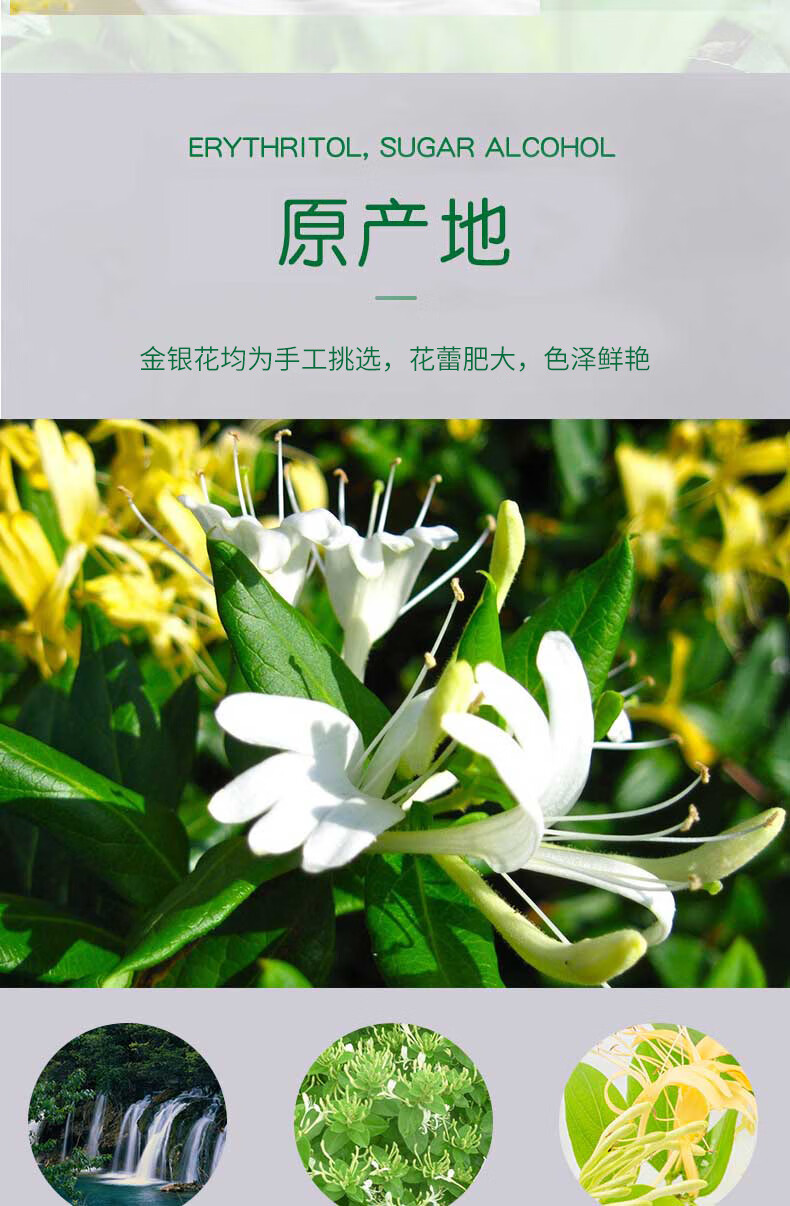 润浪金银花水 瓶装金银花露凉茶饮料 350ml*6瓶【图片 价格 品牌 报价