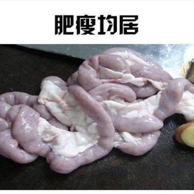 姬禄福无水无油新鲜猪小肠头粉肠苦肠冷冻批发肠圈十二指肠冲洗1斤