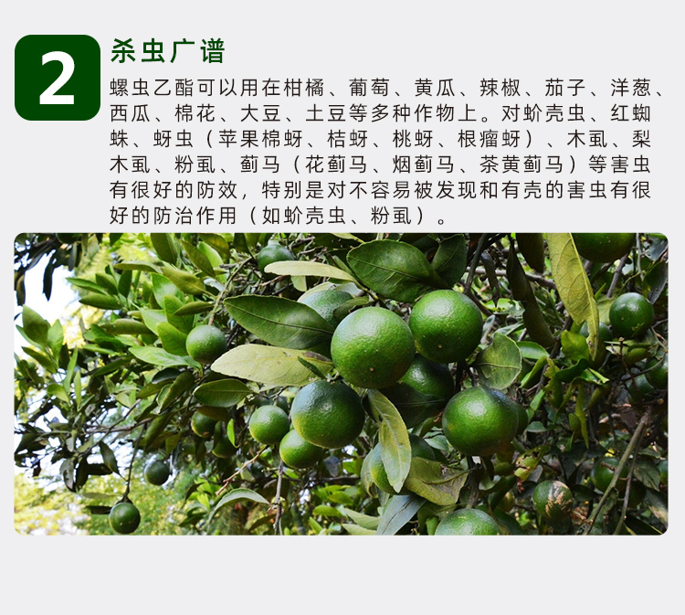 建农 螺虫乙酯乙脂果树红蜘蛛专用杀螨剂蚧壳介壳虫白粉虱杀虫药 100g