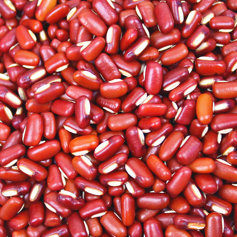 赤小豆新货农家东北自产小粒赤豆薏米粥五谷杂粮粗粮粮油赤小豆5斤