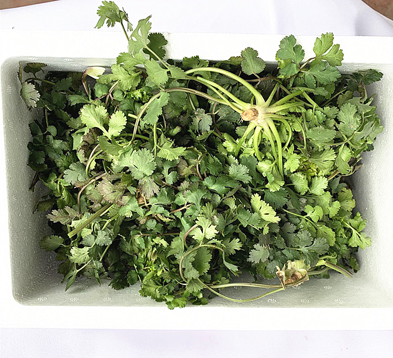 冠季香菜新鲜蔬菜4斤和河南芫荽农家矮脚土香菜霜冻香菜红根香菜500g