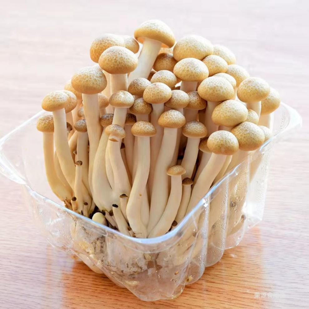 蟹味菇新鲜蟹味菇蘑菇煲汤食用菌菇整包蟹味菇批发150g4盒