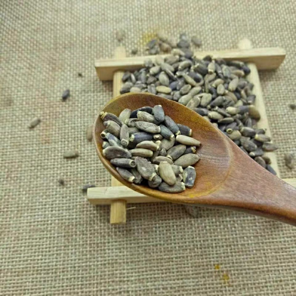 新货水飞蓟籽水飞蓟水飞蓟种子 奶蓟种子水飞蓟500克 2.