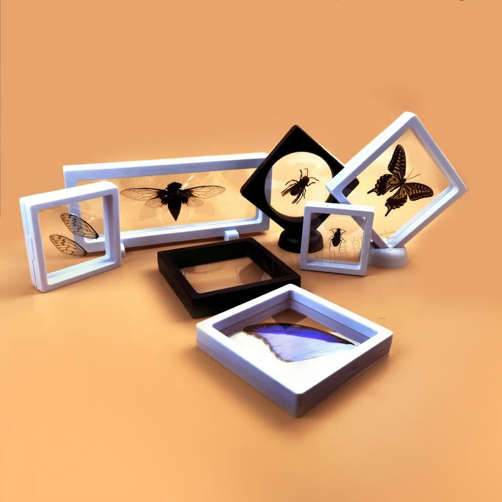 昆虫标本透明悬浮框 标本展示盒 黑白框弹力pe膜 装蝴蝶昆虫欣赏摆件