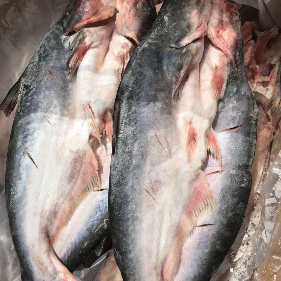 锦祥橙 开背巴沙鱼湄公鱼巴沙松子鱼烤鱼纸包鱼冷冻无刺龙利鱼 腌制